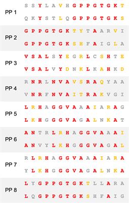 BCG Vaccine Derived Peptides Induce SARS-CoV-2 T Cell Cross-Reactivity